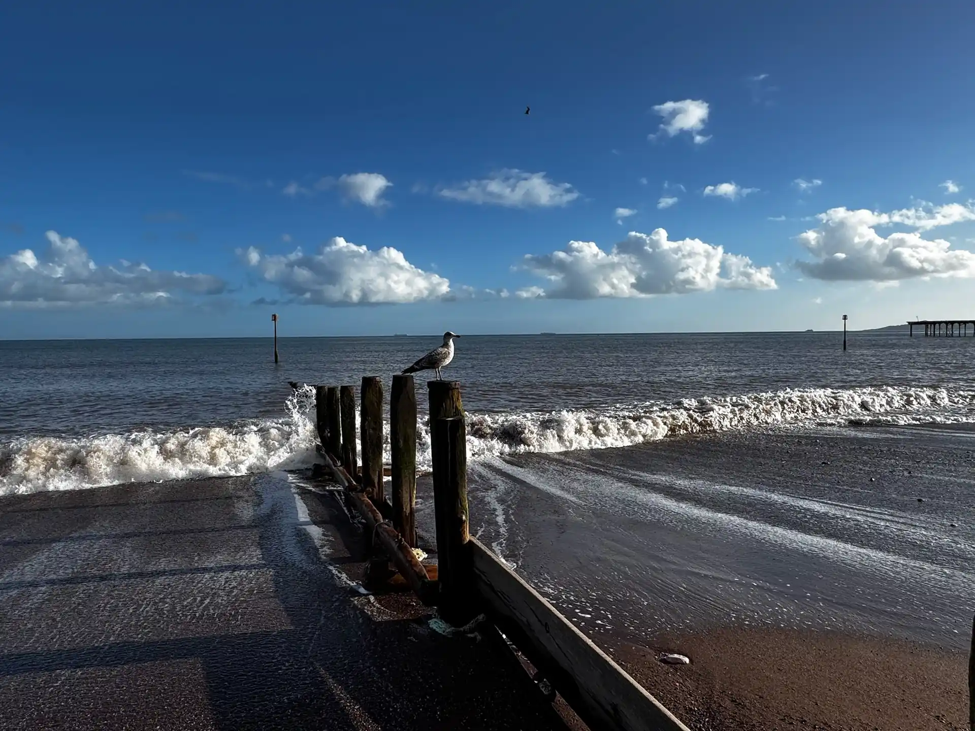 Sunny picture of Teignmouth front beach with a seagull perched on a wooden fence.